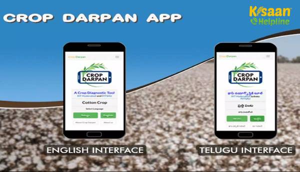 आईआईआईटी हैदराबाद ने बनाया विशेष ऐप 'फसल दर्पण'